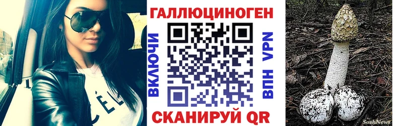 Купить Фрязино Галлюциногенные грибы мицелий